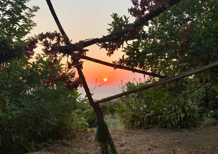 Vila Ricomincio Da Te Vico Equense Exteriér fotografie