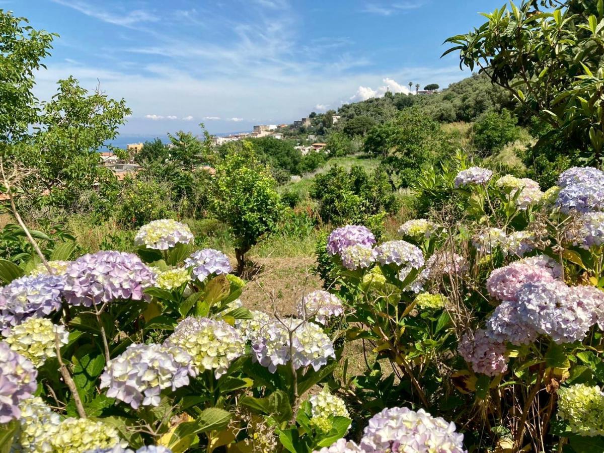 Vila Ricomincio Da Te Vico Equense Exteriér fotografie